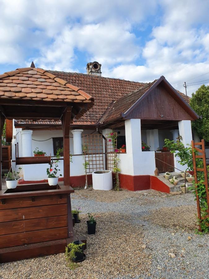 Pensiunea Aurelia Siria Exterior foto
